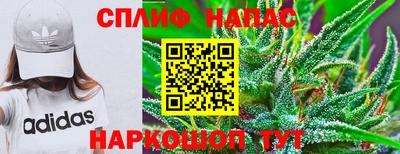 ALPHA PVP Беслан