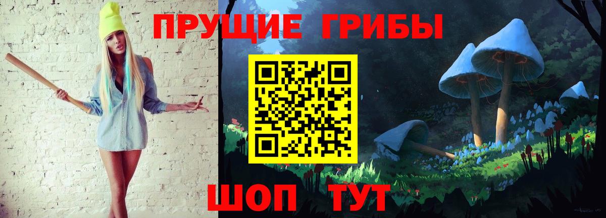 Галлюциногенные грибы Psilocybine cubensis  Вход с VPN  Кингисепп 